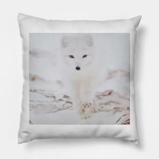 White wolf in the snow Pillow