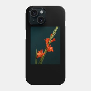 Orange Gladiolus Phone Case