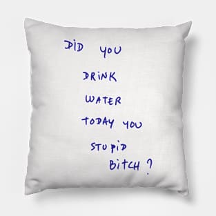 DID YOU DRINK WATER TODAY YOU STUPID Bitch ? Pillow