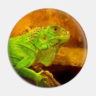 Green iguana Pin