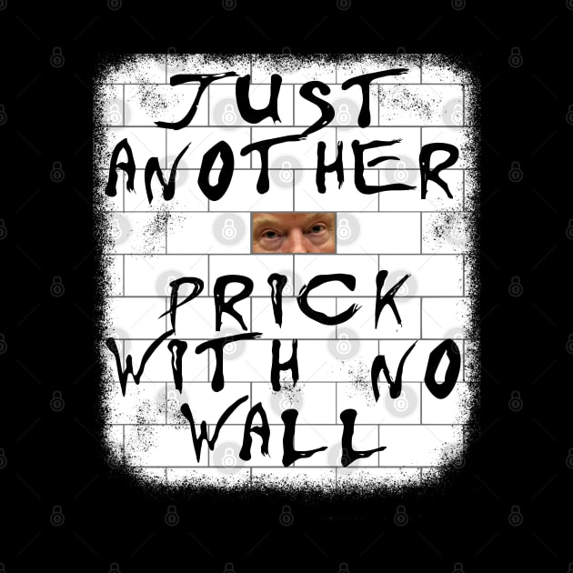 Just Another Prick With No Wall by jplanet