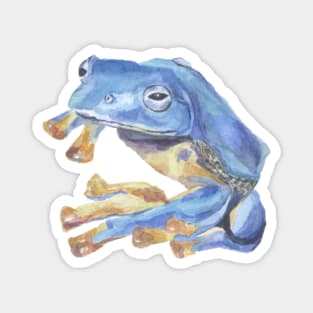 Tropical blue frog Magnet