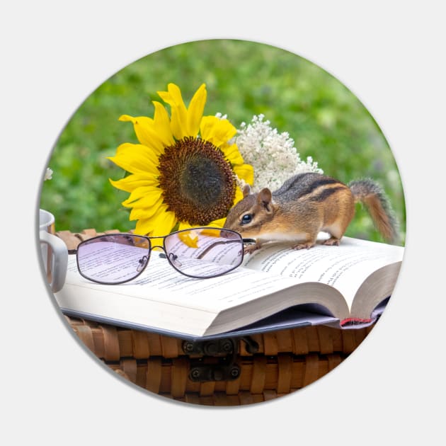 Chipmunk learning to read Pin by iyd39