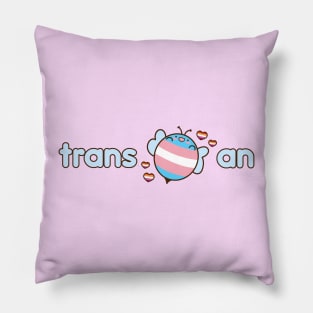 Trans bee an Trans Lesbian Bee Transbian Pillow