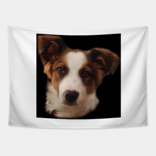 Charly Australian Shepherd Mix Tapestry