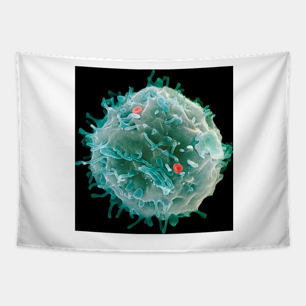 Stem cell, SEM (G442/0451) Tapestry by SciencePhoto