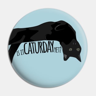 Is it Caturday Yet? Lounging Kitty Pin