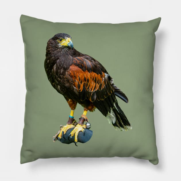 Just waiting to go hunting Pillow by dalyndigaital2@gmail.com