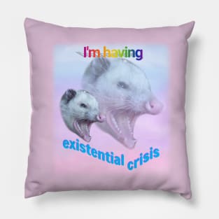 I'm having existential crisis, possum Pillow