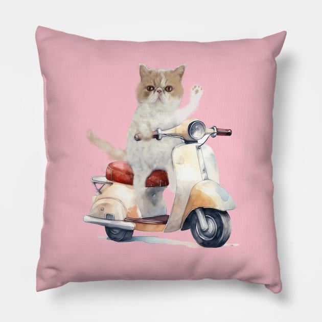 exotic short hair in scooter Pillow by Tees of Joy