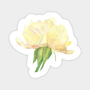 Yellow Rose, watercolor painting Magnet