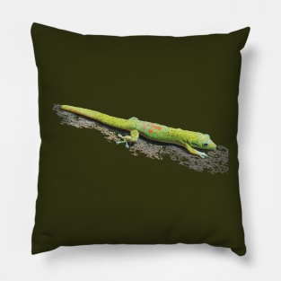 Gold Dust Day Gecko Pillow