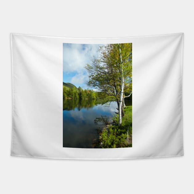 Spring Birch Woodard Reservoir, Vermont Tapestry by srwdesign