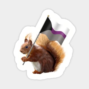 A Red Squirrel with a Demisexual Pride Flag. Magnet