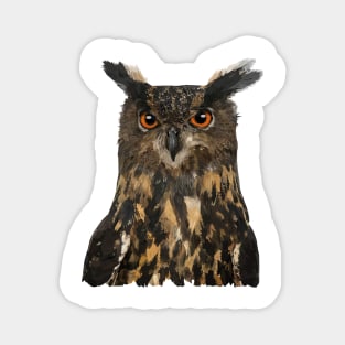 Royal Owl Magnet