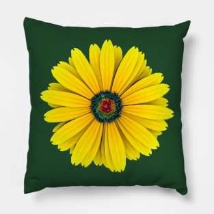 BIG SUNNY DAISY Pillow