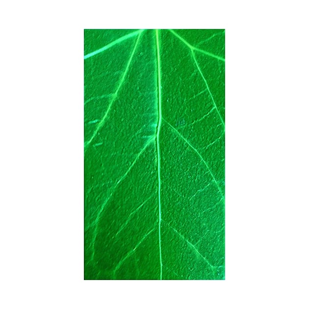 Green Leaf by Tovers