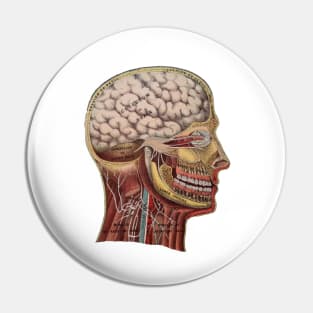 Vintage Human Head Anatomy Pin