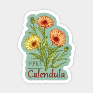 Herb Calendula-Herb plant Calendula-Spring flowers Calendula-Easter gift-Beautiful Herb flowers Magnet