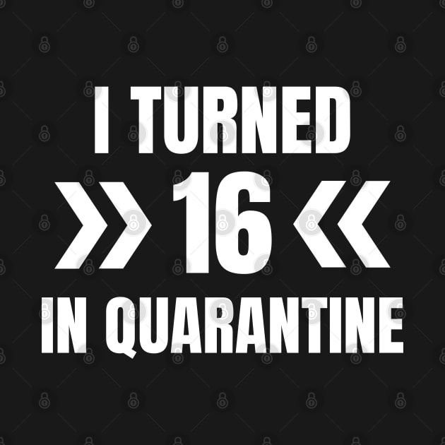 I Turned 16 In Quarantine by LunaMay