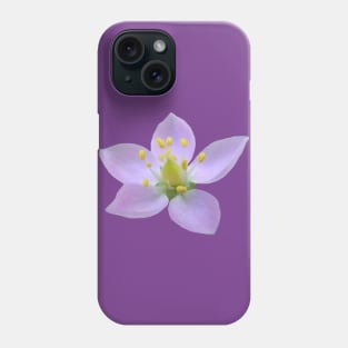 wonderful purple flower, flowers, nature, bloom, violet Phone Case