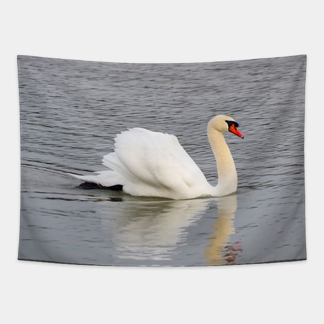 Mute Swan Swimming In The Water Tapestry by BackyardBirder