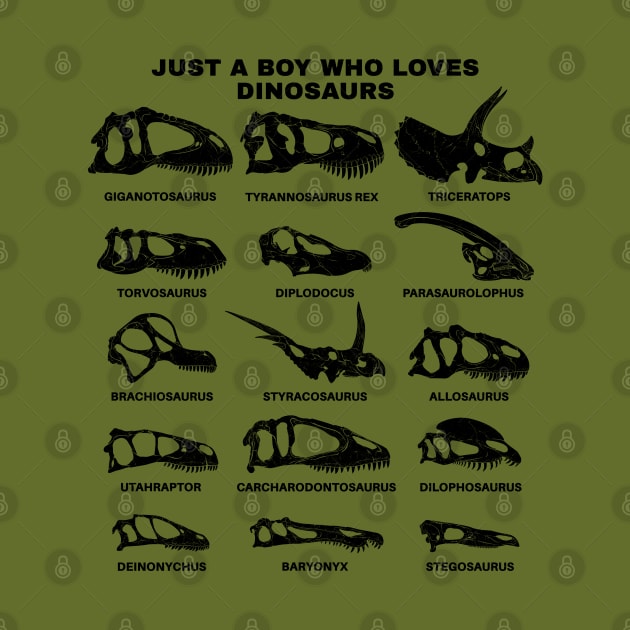 Types of Dinosaurs Just a boy who loves dinosaurs by NicGrayTees