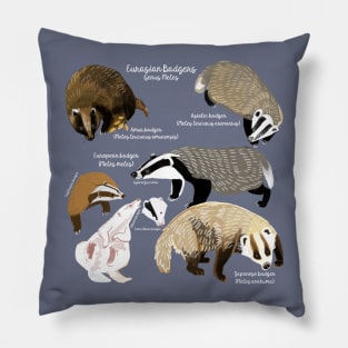 Badgers Meles Genus Poster Pillow