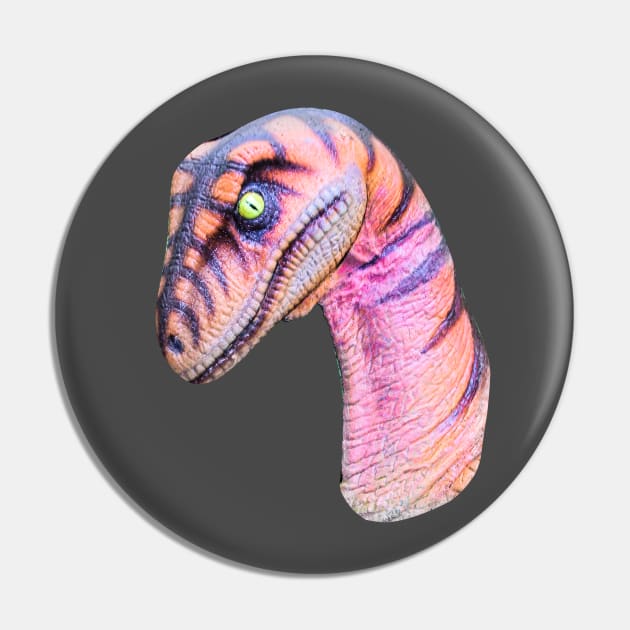 Velociraptor looking for dinner Pin by dalyndigaital2@gmail.com