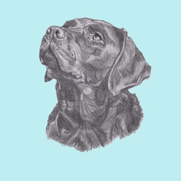 Classic Labrador Retriever Dog Profile Drawing by lalanny