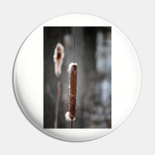 Cattails Pin