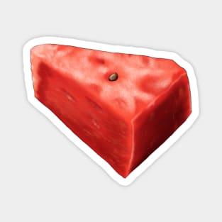 Watermelon Magnet