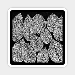 Leaves Magnet