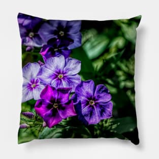 Flowers in purple. Pillow