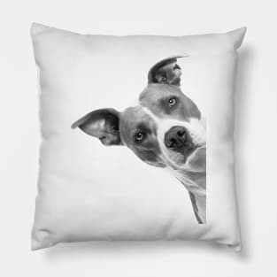 Teddy Roosevelt Terrier Peekaboo Pillow