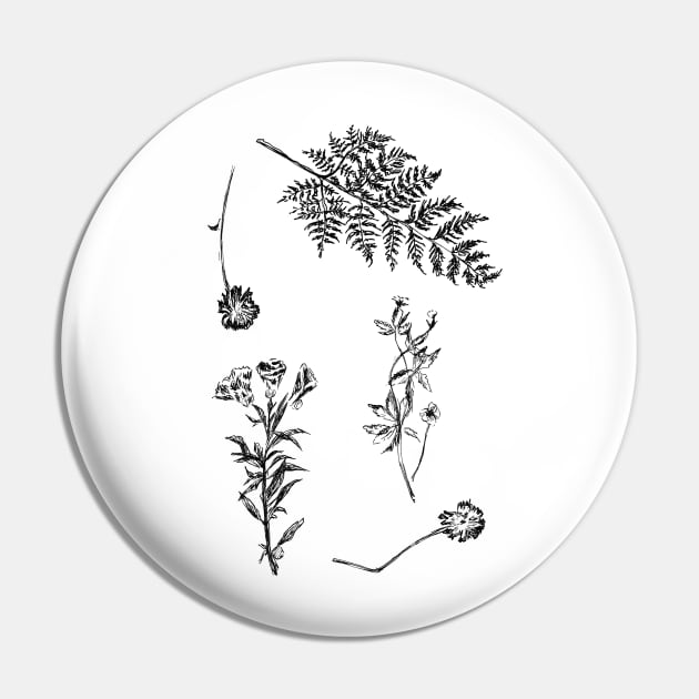 Herbarium Pin by rachelsfinelines