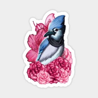 Scarfed Blue Jay Magnet