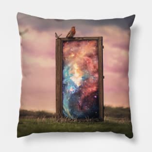 Hidden Worlds Pillow