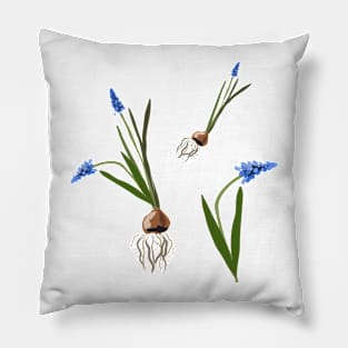 Muscari flowers Pillow