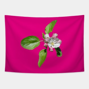 Apple blossom Tapestry