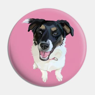 Cute Canine Border Collie Mix Pin