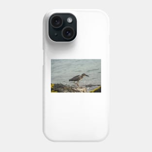 Black-crowned night heron of hawaii 9 Phone Case