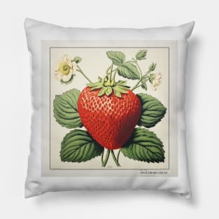 Vintage Fruit Pillow