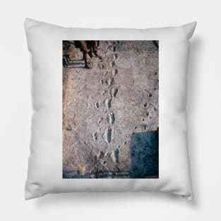 Excavation of the trail of Laetoli footprints. (E437/0040) Pillow