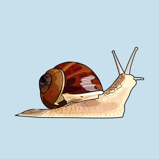 Snail cartoon illustration by Miss Cartoon