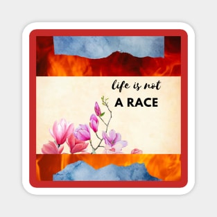 Life is not a race Magnet