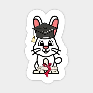 Cute bunny is a graduate Magnet