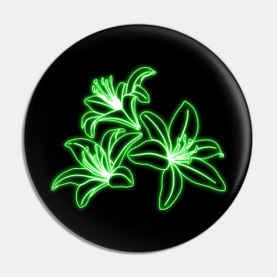 /home/user/Téléchargements/green lys.png Pin