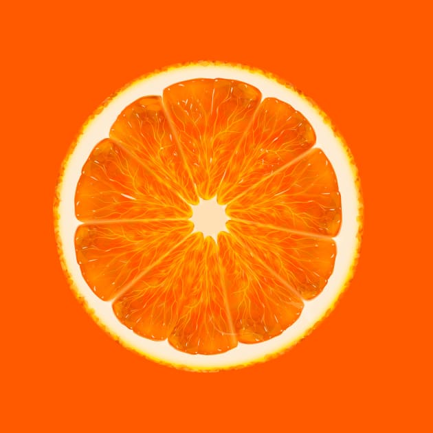 Orange Fruit Illustration by Choulous79