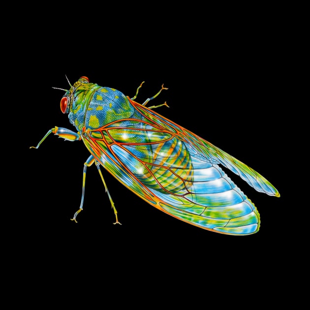 Cicada by Tim Jeffs Art